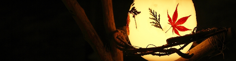 _L7I0862.JPG